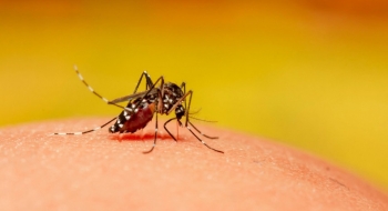 Saúde alerta para avanço dos casos de dengue no Estado